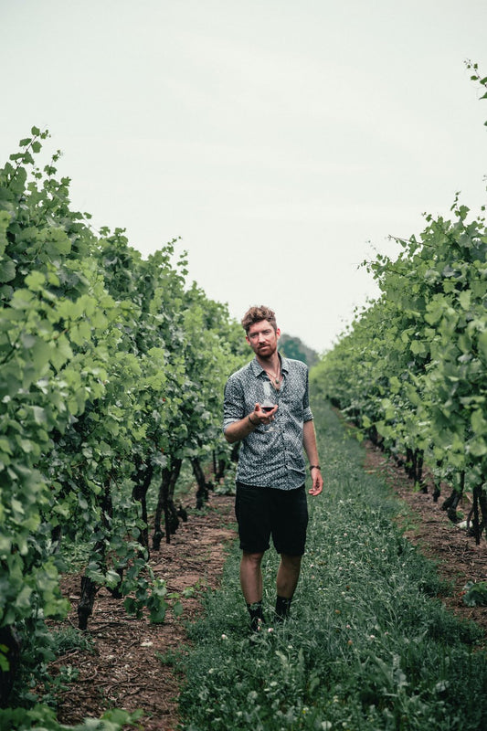 Get Intimate With South Australia's Beefy Barossa and Heavenly Eden Valleys.