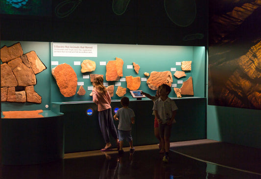 Pick A Bone At The South Australia Museum