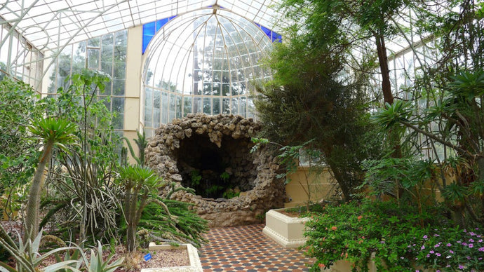 Adelaide Botanic Garden: A Spacious Oasis In the Heart Of Down South